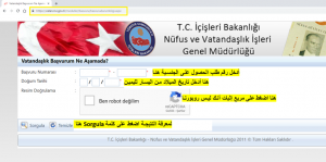 طريقة إدخال المعلومات لمعرفة مراحل الحصول على الجنسية التركية