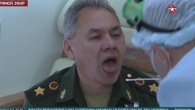 صورة بعد لقائه بشار الأسد.. وزير الدفاع الروسي يجري اختبار الكشف عن “فيروس كورونا” (فيديو)