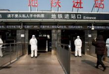 صورة أخبار سيئة من الصين.. تسجيل إصابات جديدة بـ “فيروس حمى الخنازير الإفريقية”..!