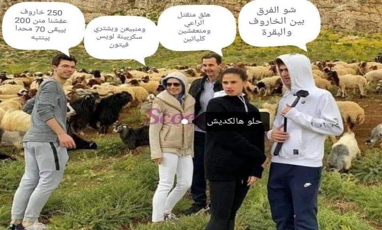 عائلة الأسد وقطيع الأغنام