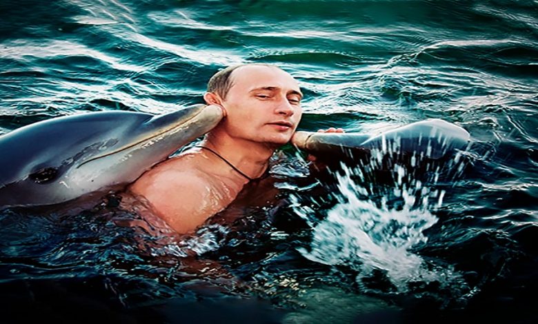 روسيا أحضرت دلافين مدربة إلى طرطوس
