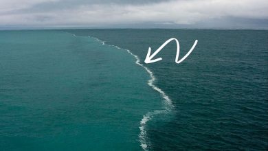 صورة لماذا لا تختلط مياه المحيط الأطلسي بمياه المحيط الهادئ؟