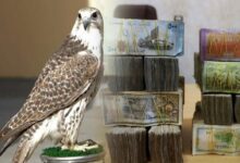 سعر الطير الحر سوريا