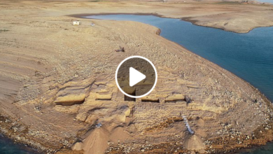 صورة انحسار نهر الفرات وظهور كميات كبيرة من الذهب وكنوز مخفية ومواقع أثرية كانت مغمورة (فيديو)