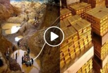 صورة صحراء عربية مليئة بالكنوز واكتشاف جبال ضخمة من الذهب قد تقلب الاقتصاد رأساً على عقب (فيديو)