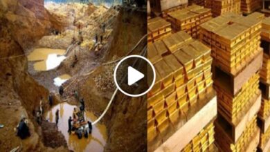 صورة صحراء عربية مليئة بالكنوز واكتشاف جبال ضخمة من الذهب قد تقلب الاقتصاد رأساً على عقب (فيديو)