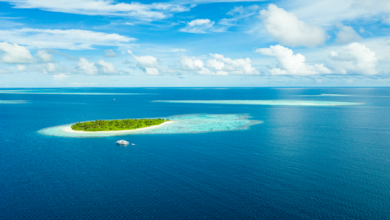 صورة غواصة بحرية تكتشف واحة مخفية في أعماق محيط جزر المالديف