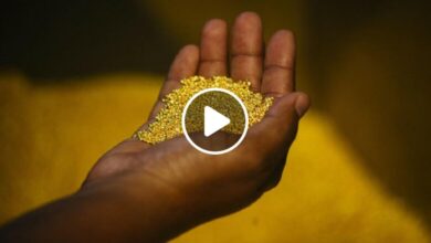 صورة اكتشاف أطنان من الذهب يقود دولة عربية لتكون من بين الدول الأغنى في العالم (فيديو)