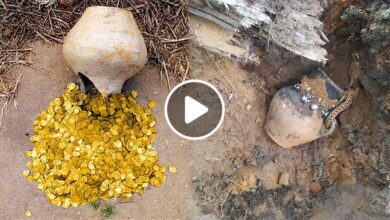 صورة صدفة غريبة تقود سكان منطقة عربية لاكتشاف كنز ضخم من الذهب يقدر ثمنه بمليارات الدولارات (فيديو)