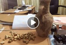 صورة صدفة غريبة تقود فلاح سوري إلى العثور على كنز ذهبي لا يقدر بثمن (فيديو)