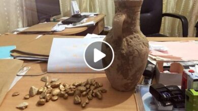 صورة صدفة غريبة تقود فلاح سوري إلى العثور على كنز ذهبي لا يقدر بثمن (فيديو)