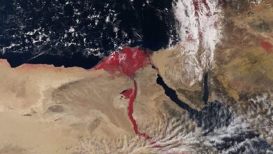 صورة ظاهرة غريبة تفسيرها لا يخطر على البال.. مياه النيل تجري بلون أحمر قرمزي بأحدث صورة لها من الفضاء