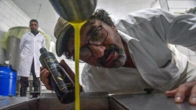 صورة مواطن عربي ينجح بتحويل زيت الزيتون إلى سائل يدر الذهب ويدخل عالم الشهرة والثراء من أوسع أبوابه!