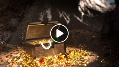 صورة صائد كنوز يعثر على صندوق خشبي يحتوي على كميات كبيرة من الذهب بعد 10 أعوام من البحث (فيديو)