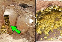 صورة العثور على كنز ثمين وكميات كبيرة من الذهب في بلدة سورية عن طريق الصدفة المحضة (فيديو)