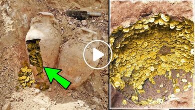 صورة العثور على كنز ثمين وكميات كبيرة من الذهب في بلدة سورية عن طريق الصدفة المحضة (فيديو)
