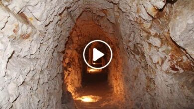 صورة خبراء يعلنون عن أعظم اكتشاف أثري عربي لم يسمع به سكان المنطقة العربية من ذي قبل (فيديو)