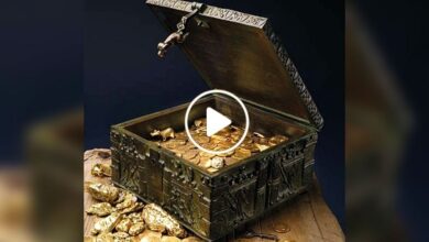 صورة حيوان أليف يقود مربيه للعثور على أكبر كنز من العملات الذهبية النادرة يساوي ملايين الدولارات (فيديو)