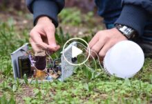 صورة شاب سوري ينجح في ابتكار جهاز يولد الكهرباء من النباتات مجاناً ويصبح حديث وسائل الإعلام (فيديو)