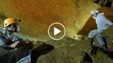 صورة اكتشاف كنز البشرية الذي لا تقدر قيمته بأي ثمن بعد 14 ألف عام (فيديو)