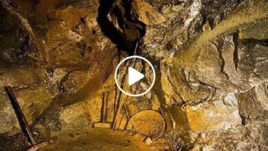 صورة جبل من الذهب الخالص وكنز نادر لا تقدر قيمته بثمن تبدأ دولة عربية باستخراجه من باطن الأرض (فيديو)