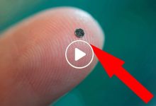 صورة ابتكار أصغر كاميرا في العالم بحجم ذرة الرمل ميزاتها فريدة من نوعها وقدرتها تفوق حجمها بأضعاف (فيديو)