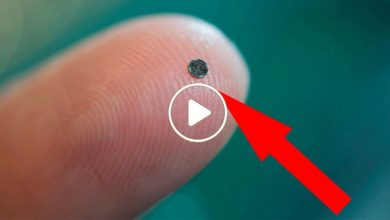 صورة ابتكار أصغر كاميرا في العالم بحجم ذرة الرمل ميزاتها فريدة من نوعها وقدرتها تفوق حجمها بأضعاف (فيديو)