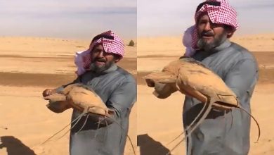 صورة مواطن عربي يصطاد سمكة حية نادرة في الصحراء في مشهد حير العقول وأثار جدلاً واسعاً (فيديو)