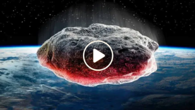 صورة ظاهرة غريبة في السماء تثير حيرة العلماء وما رصدوه غير عادي (فيديو)