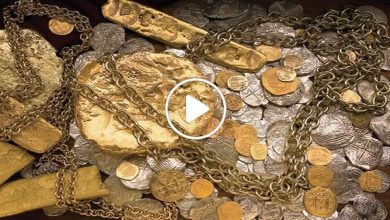 صورة قصة شاب محظوظ اشترى جهاز لكشف المعادن بـ 168 دولار فعثر على كنز ضخم من الذهب الخالص (فيديو)