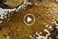 صورة العثور على كميات هائلة من الذهب ومليارات الدولارات في سوريا وصراع خفي للحصول على الكنز (فيديو)