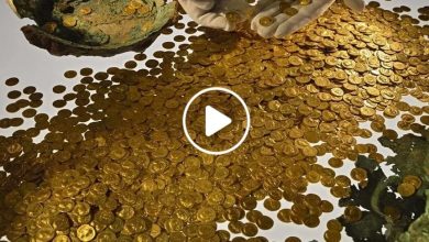 صورة العثور على كميات هائلة من الذهب ومليارات الدولارات في سوريا وصراع خفي للحصول على الكنز (فيديو)