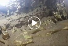 صورة اكتشاف كنز هائل من التماثيل الذهبية النادرة عمره 10.000 عام في دولة عربية (فيديو)