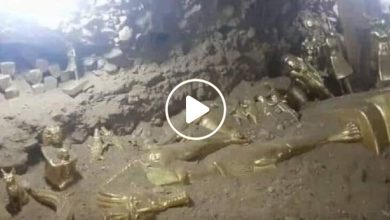 صورة اكتشاف كنز هائل من التماثيل الذهبية النادرة عمره 10.000 عام في دولة عربية (فيديو)