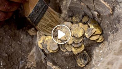 صورة اكتشاف كنز ثمين من العملات الذهبية النادرة في دولة عربية يعود تاريخه للعصر العباسي (فيديو)