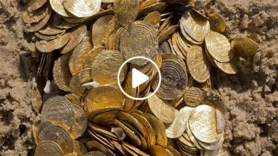 صورة العثور على كنز ذهبي يعود للعصر الأموي في سوريا والمفـ.ـاجئة عند حسبانه على العملات الصعبة (فيديو)