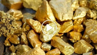 صورة اكتشاف أطنان من الذهب والمعادن الثمينة في دولة عربية تقودها لتكون من بين الدول الأغنى عالمياً (فيديو)