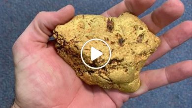 صورة رجل محظوظ يعثر على كتلة ضخمة من الذهب تقدر قيمتها بـ 160 ألف دولار (فيديو)