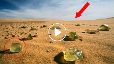 صورة قطرات الذهب وكنوز تسقط من الفضاء على الأرض سعر الغرام الواحد منها بأكثر من 1000 دولار (فيديو)