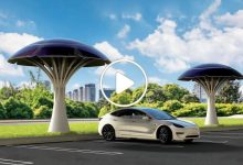 صورة أشجار شمسية تولد الكهرباء ليلاً نهاراً وتشحن السيارات الكهربائية في ابتكار جديد سيغير وجه العالم (فيديو)