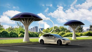 صورة أشجار شمسية تولد الكهرباء ليلاً نهاراً وتشحن السيارات الكهربائية في ابتكار جديد سيغير وجه العالم (فيديو)
