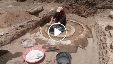 صورة اكتشاف أثري نادر وسط سوريا وسكان المنطقة قلقون من ظهور الذهب والكنوز مع استمرار أعمال التنقيب (فيديو)