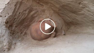 صورة دولة عربية تعلن عن اكتشاف أثري ضخم يعود إلى العصر الحديدي قيمته تقدر بمليارات الدولارات (فيديو)
