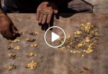 صورة صدفة غريبة تقود دولة عربية إلى العثور على كنز ذهبي نادر يعود تاريخه للعصر الأموي (فيديو)