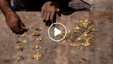 صورة صدفة غريبة تقود دولة عربية إلى العثور على كنز ذهبي نادر يعود تاريخه للعصر الأموي (فيديو)