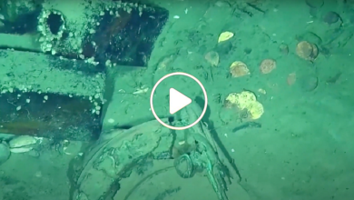 صورة غواصون يكتشفون كنز ثمين وكميات كبيرة من سبائك الذهب تقدر بمليارات الدولارات في قاع البحر (فيديو)