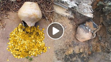 صورة اكتشاف كنز ضخم في سوريا يعود إلى العصر الأموي وجرة فخارية مليئة بالقطع الذهبية (فيديو)