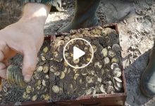 صورة مزارع سوري يعثر على كنز ذهبي لا تقدر قيمته بثمن في دمشق وما حدث بعد ذلك لم يكن بالحسبان (فيديو)
