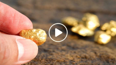 صورة اكتشاف 8 مناطق فيها جدران من الذهب الخالص في دولة عربية سيجعلها قوة اقتصادية كبيرة (فيديو)