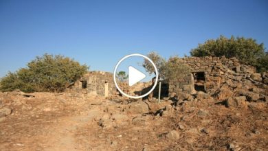 صورة اكتشاف قرية أثرية تعد بمثابة ثروة ضخمة في سوريا وسط ذهول الخبراء مما عثروا عليه بداخلها (فيديو)